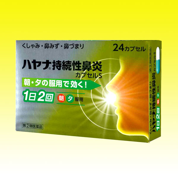 第(2)類医薬品】 ハヤナ持続性鼻炎カプセル(48カプセル) 第(2)類医薬品】 ハヤナ持続性鼻炎カプセル(48カプセル)