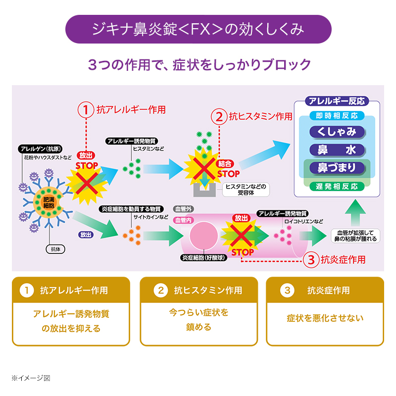 ジキナ鼻炎錠<FX>の効くしくみ