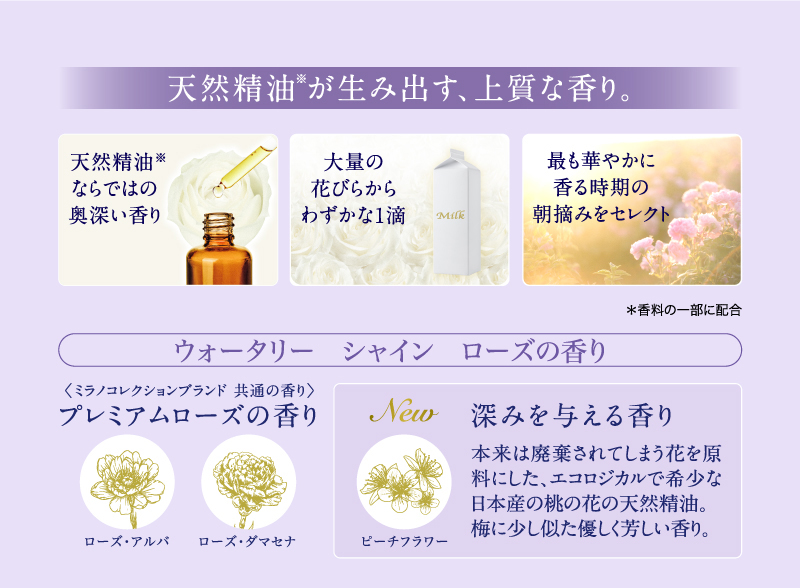 ミラノコレクション ボディフレッシュパウダー2022 30g