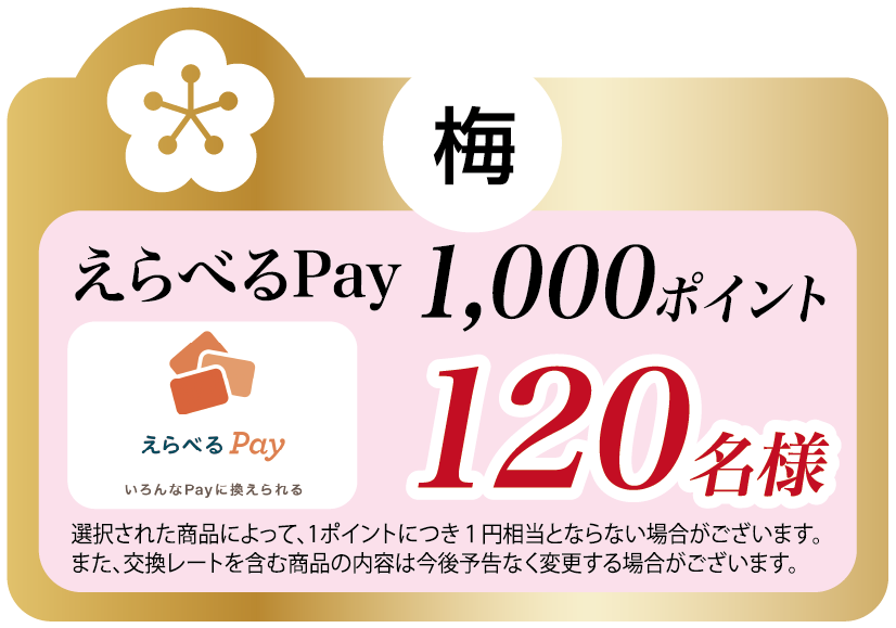 梅 えらべるPay 1,000ポイント 120名様